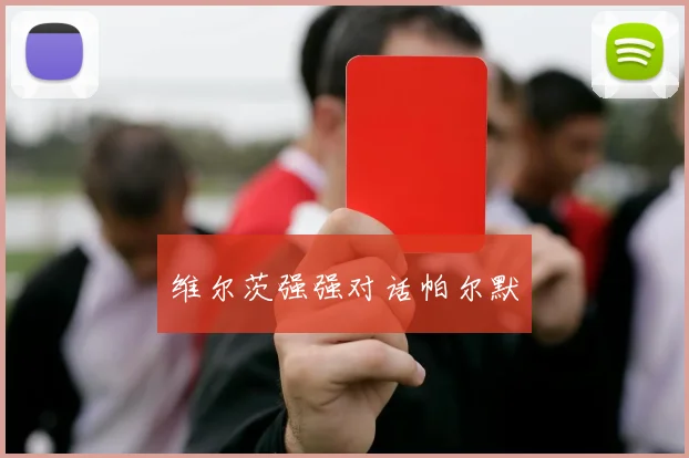 维尔茨强强对话帕尔默