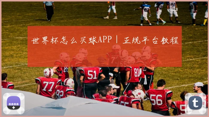 世界杯怎么买球APP｜正规平台教程