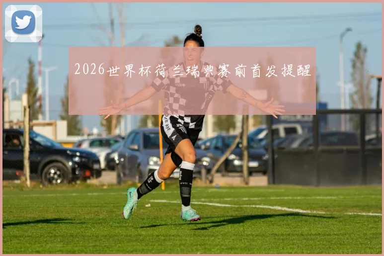 2026世界杯荷兰瑞典赛前首发提醒