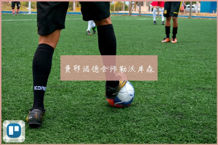 费耶诺德会师勒沃库森
