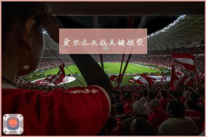 爱尔兰决战关键战役