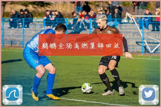 鹈鹕全场高燃集锦回放