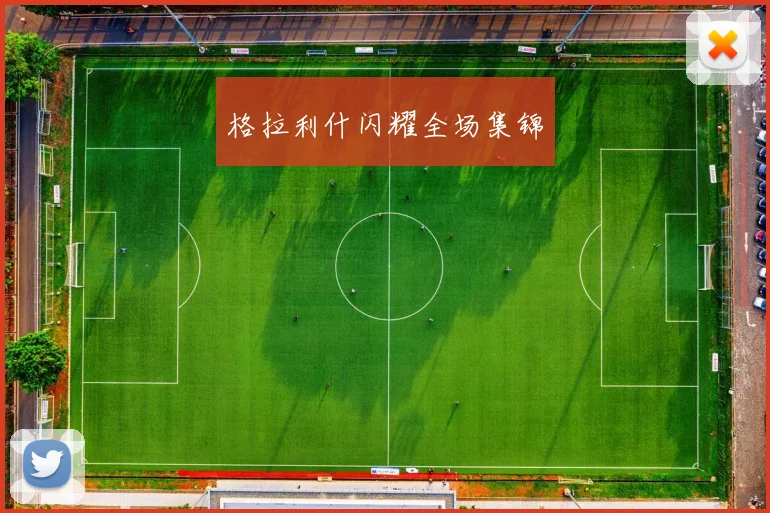 格拉利什闪耀全场集锦