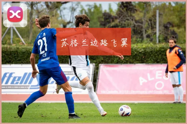 苏格兰边路飞翼
