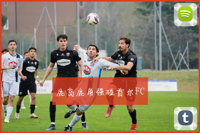 鹿岛鹿角强碰首尔FC