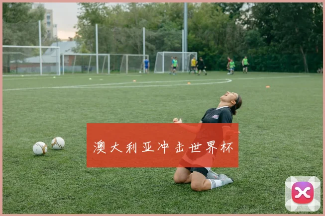 澳大利亚冲击世界杯