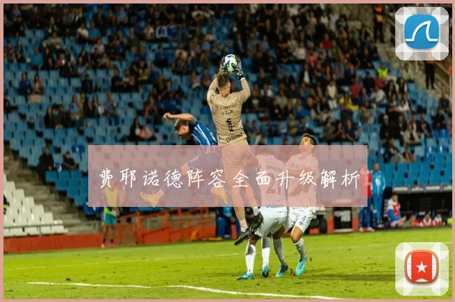 费耶诺德阵容全面升级解析