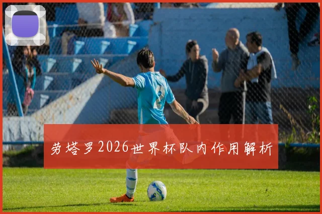 劳塔罗2026世界杯队内作用解析