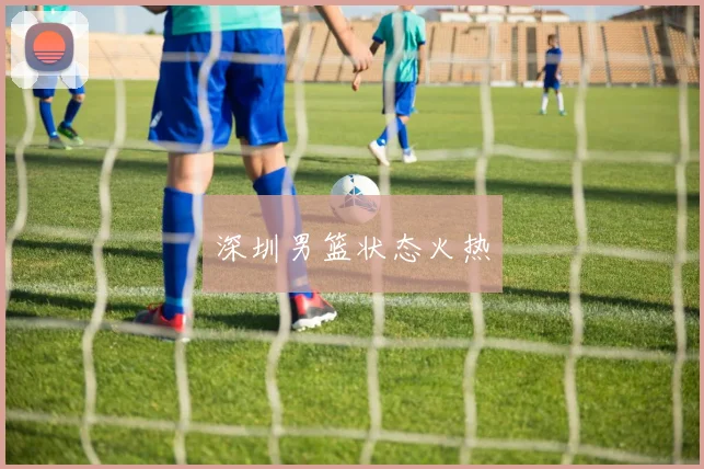 深圳男篮状态火热