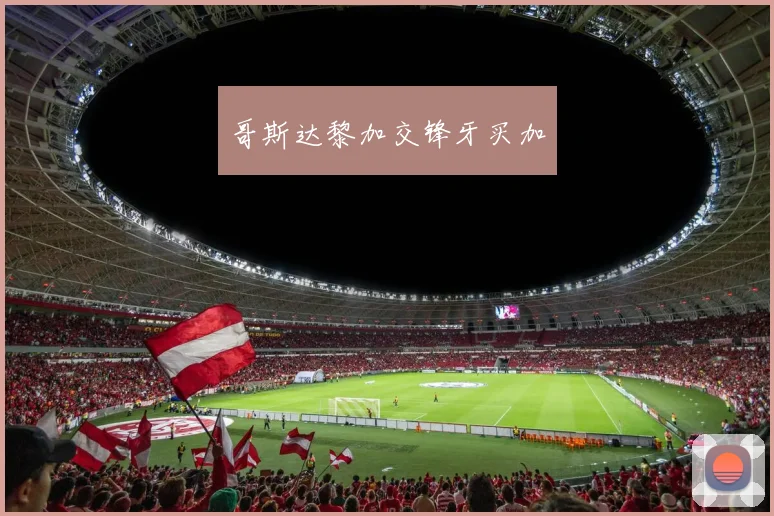 哥斯达黎加交锋牙买加