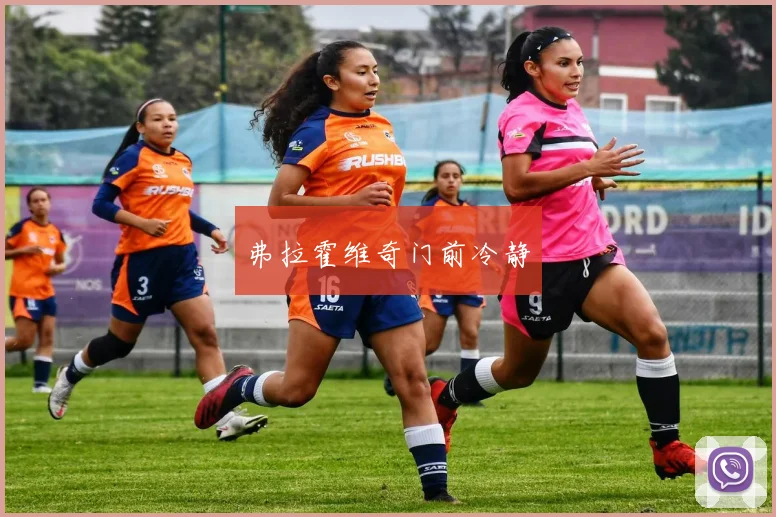 弗拉霍维奇门前冷静