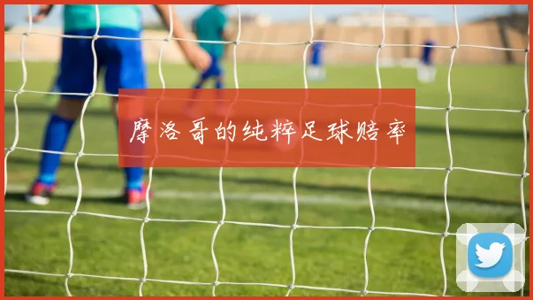 摩洛哥的纯粹足球赔率