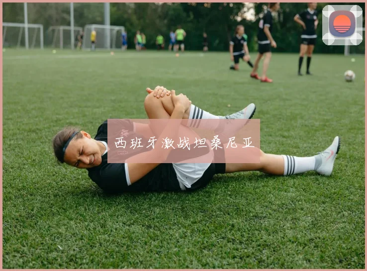 西班牙激战坦桑尼亚