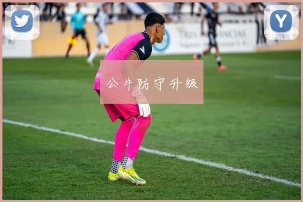 公牛防守升级