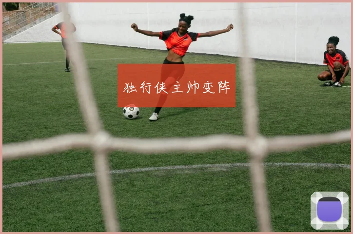 独行侠主帅变阵