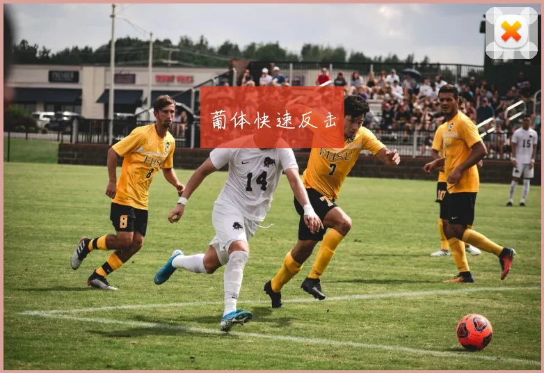 葡体快速反击