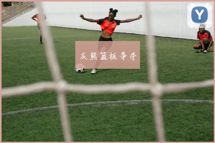 灰熊篮板争夺