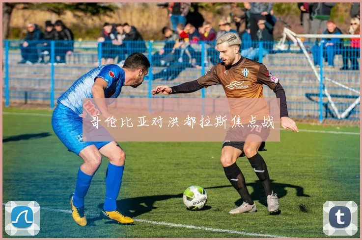 哥伦比亚对洪都拉斯焦点战