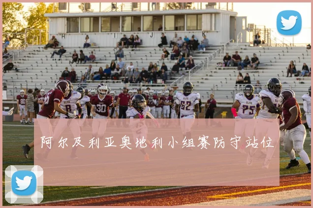 阿尔及利亚奥地利小组赛防守站位