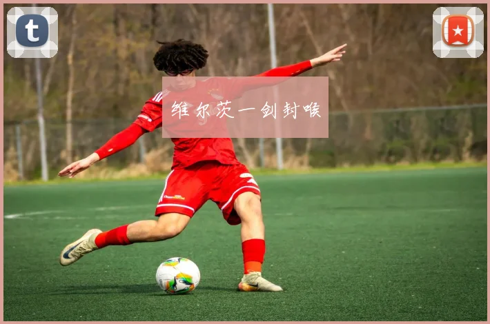 维尔茨一剑封喉