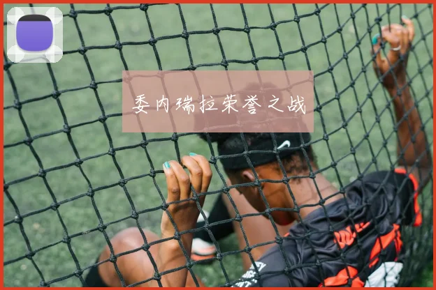 委内瑞拉荣誉之战