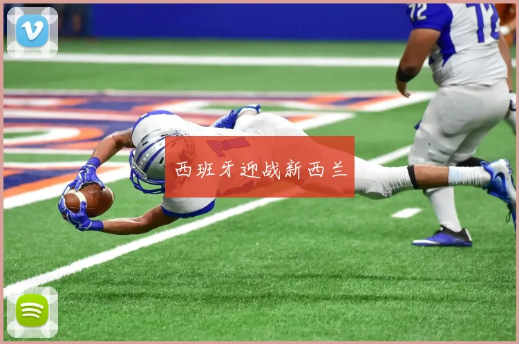 西班牙迎战新西兰