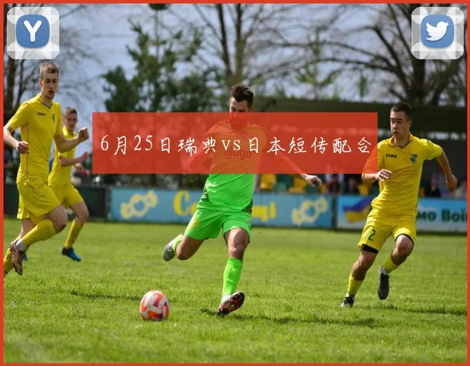 6月25日瑞典vs日本短传配合
