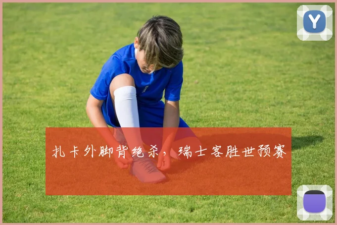 扎卡外脚背绝杀，瑞士客胜世预赛