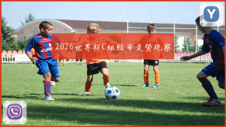 2026世界杯C组赔率走势观察