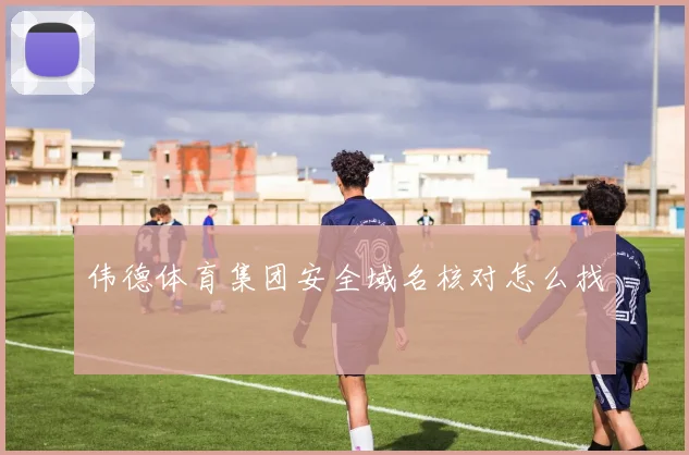 伟德体育集团安全域名核对怎么找